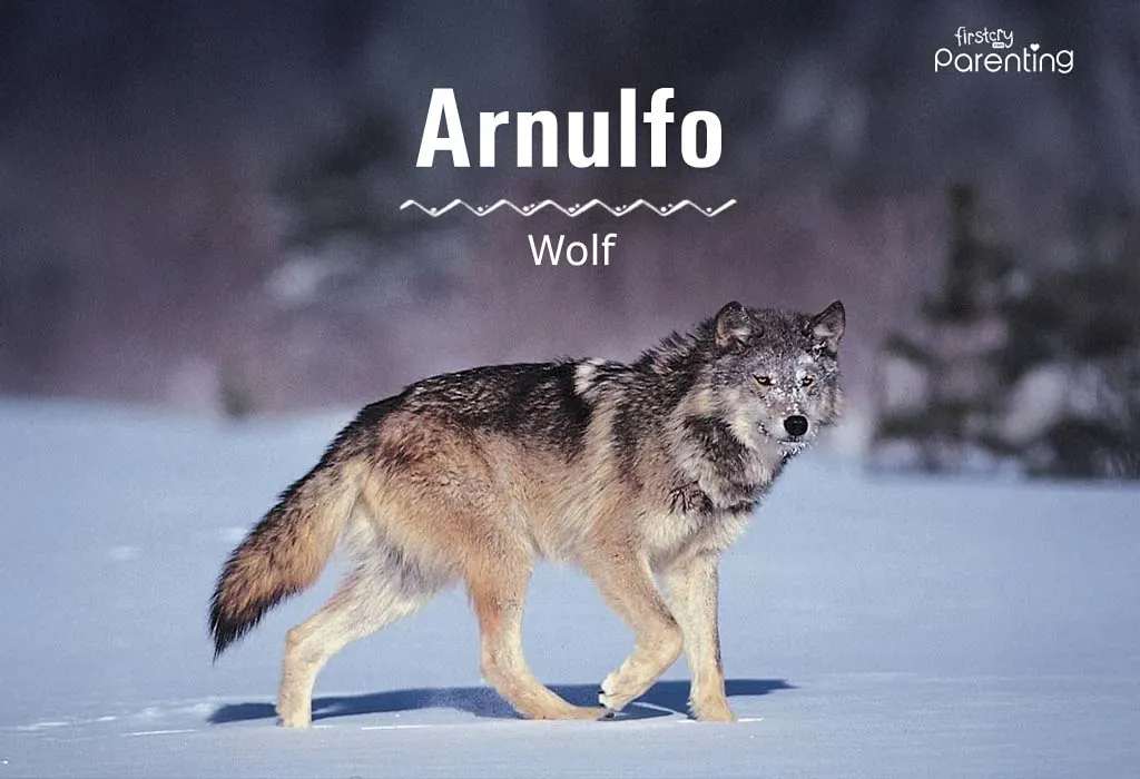 Arnulfo - Filipino Boy Names & Their Meanings