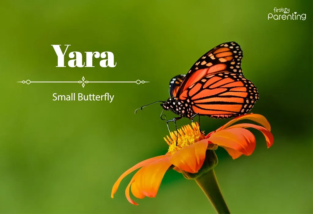 Beautiful Dutch Girl Names