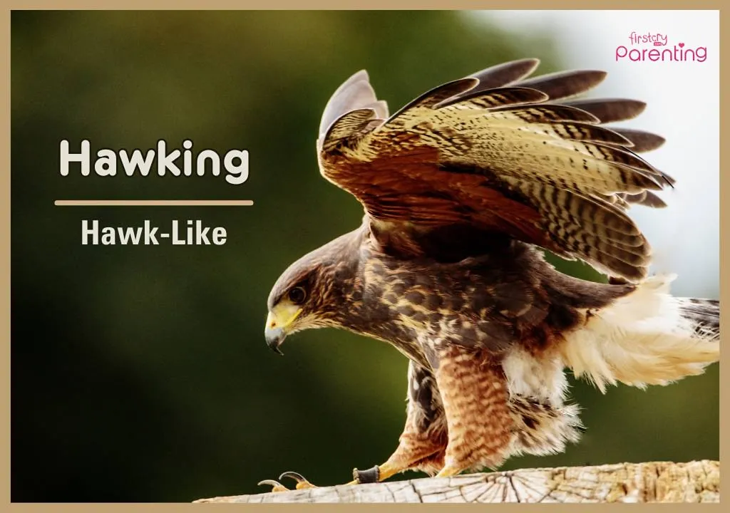Hawking - Science Boy Name