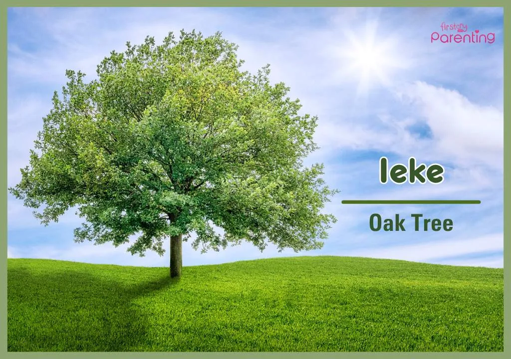 Ieke - Gender Netral Science Names