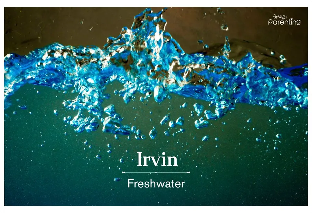 Irvin - Baby Names That Mean New Beginning & Rebirth