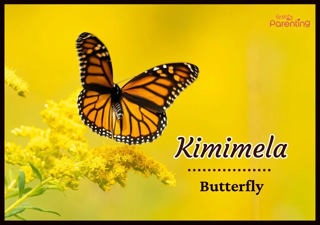 Kimimela - Native American Girl Names