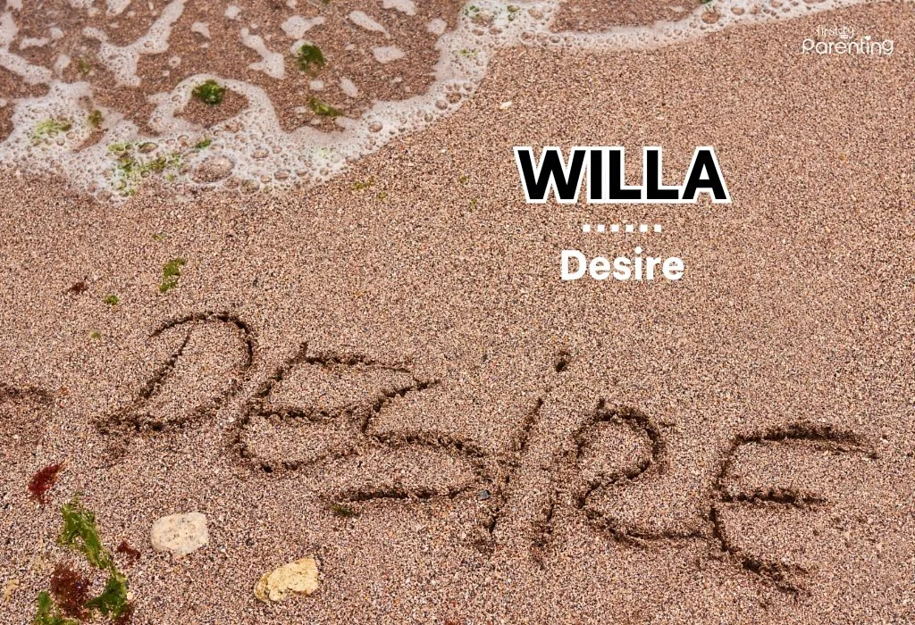 Willa - Amish Girl Names