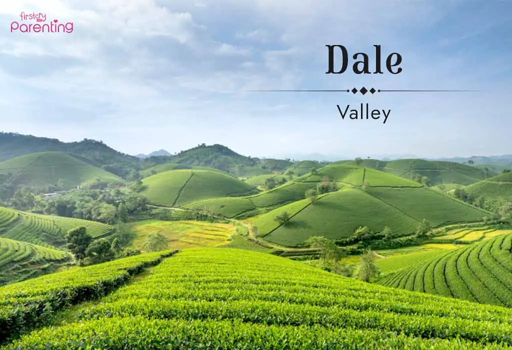 Dale - Cowgirl Names for Baby Girl