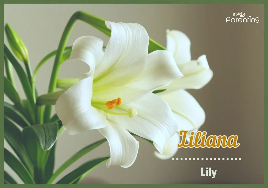Liliana - Mexican Girl Names