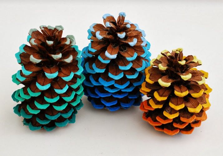 Shade pine cones