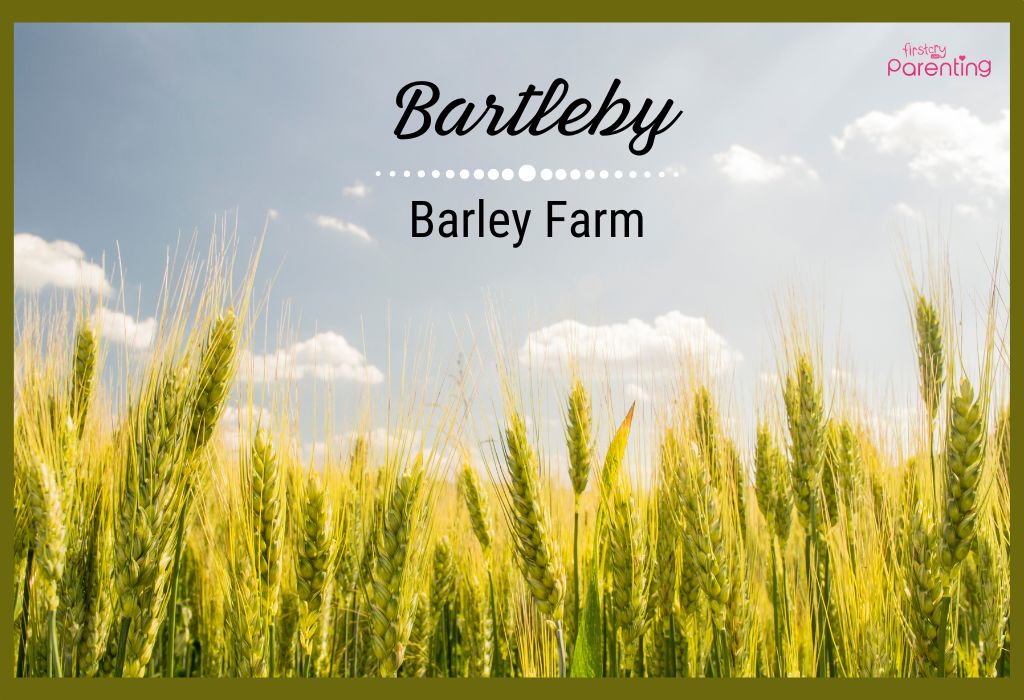 Bartleby - Boy Names From Movies
