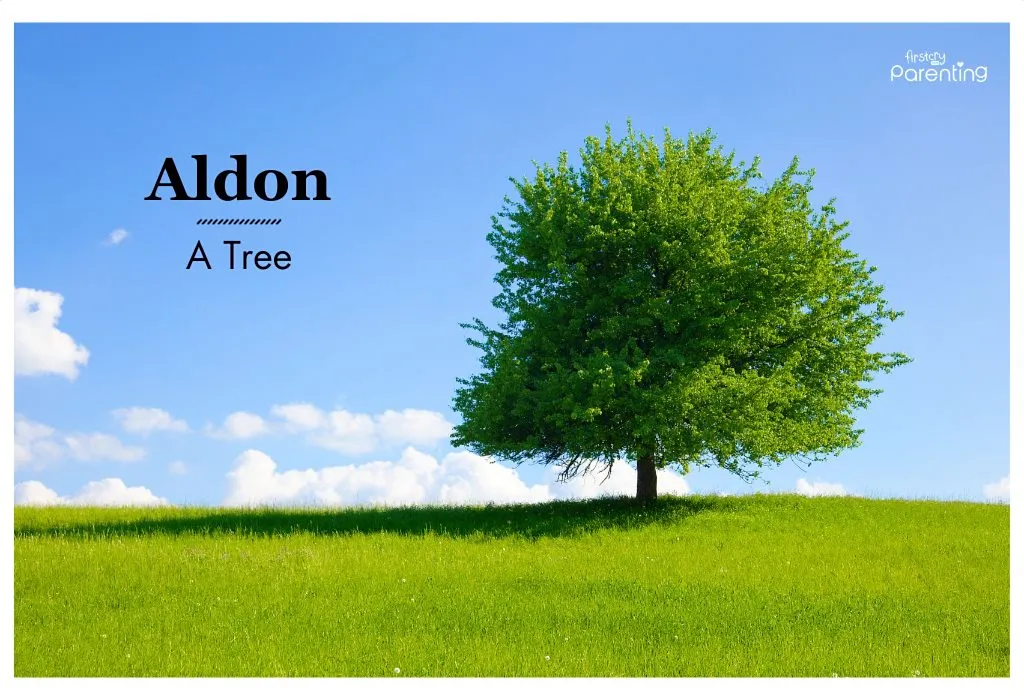 Aldon - Elvish Names For Boys & Girls