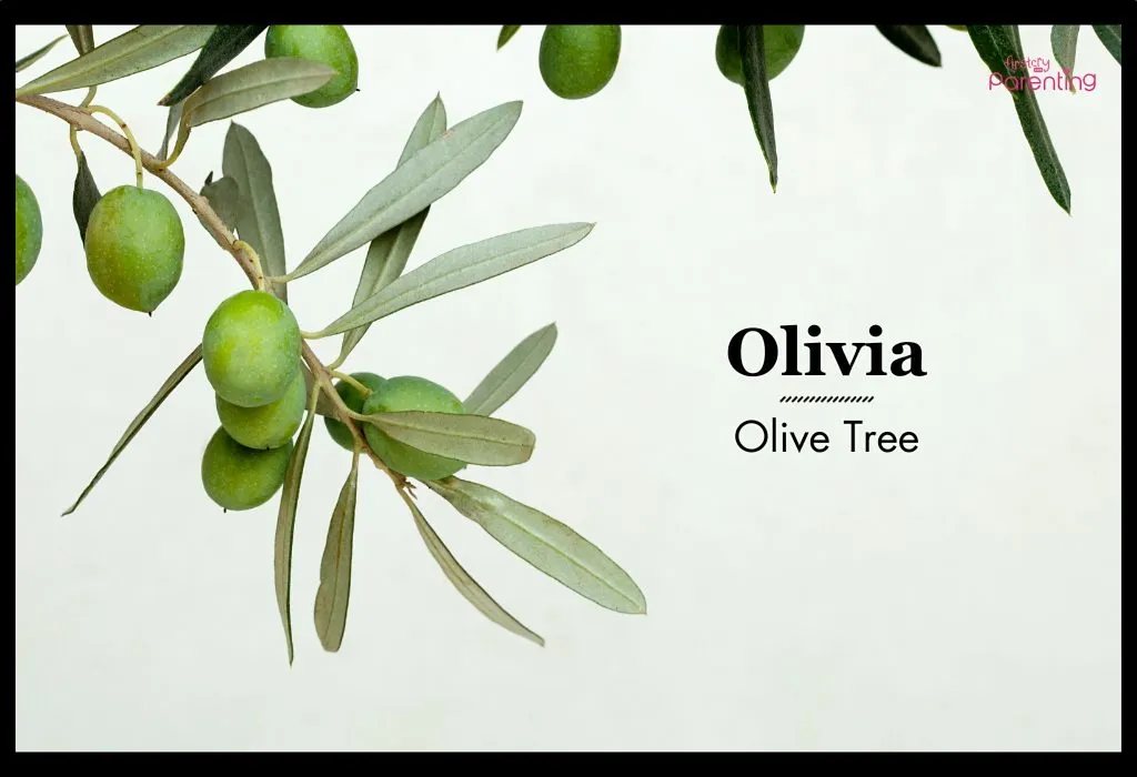 Olivia - Elvish Names For Boys & Girls
