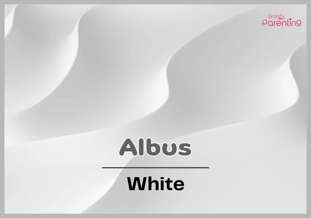 Albus - Literary Names for Boys and Girls