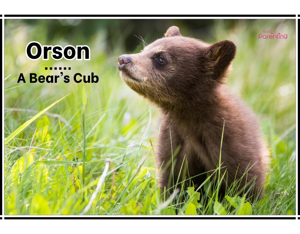 245 Rare Baby Boy & Girl Names with Meanings