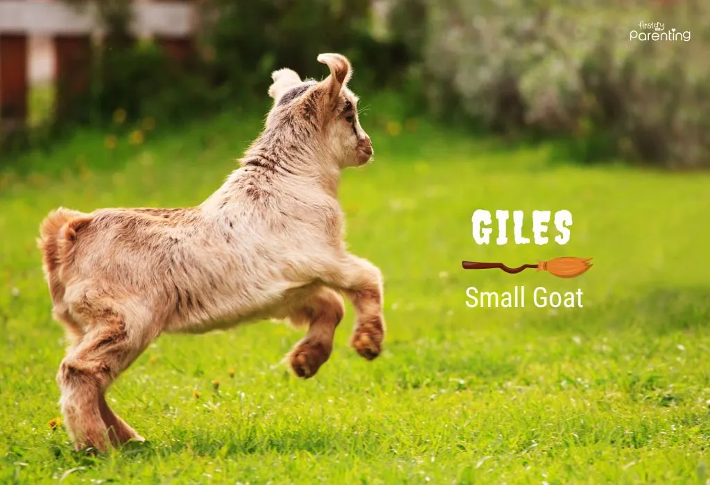 Giles - Witchy Boy Names Giles - Witchy Boy Names