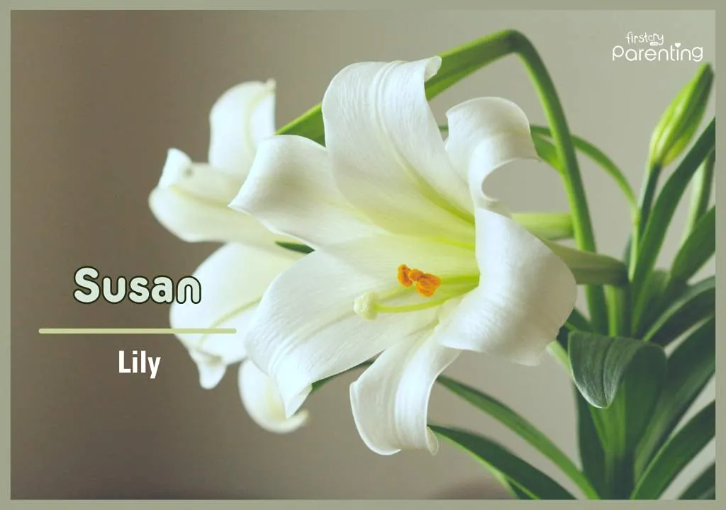 Susan - Ugandan Boy & Girl Names With Meanings