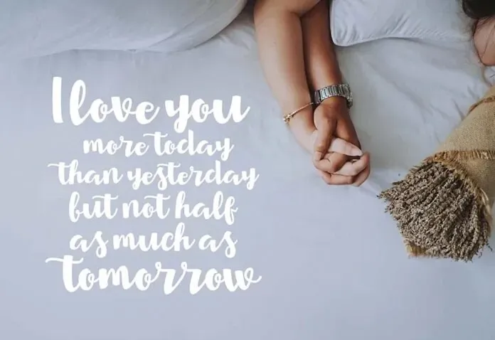 Top 72 Love Quotes to Romance Your Partner (CUTE)