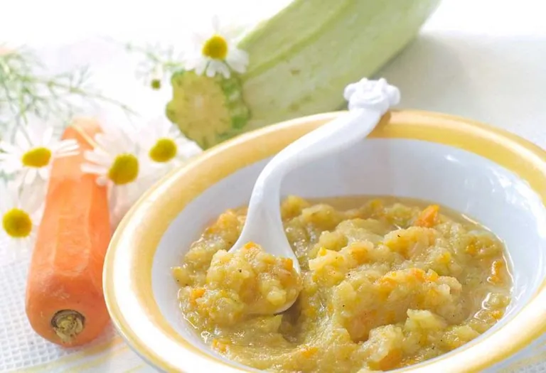 Satvik Homemade Baby Food for Babies Above 6 Months Satvik Homemade Baby Food for Babies Above 6 Months