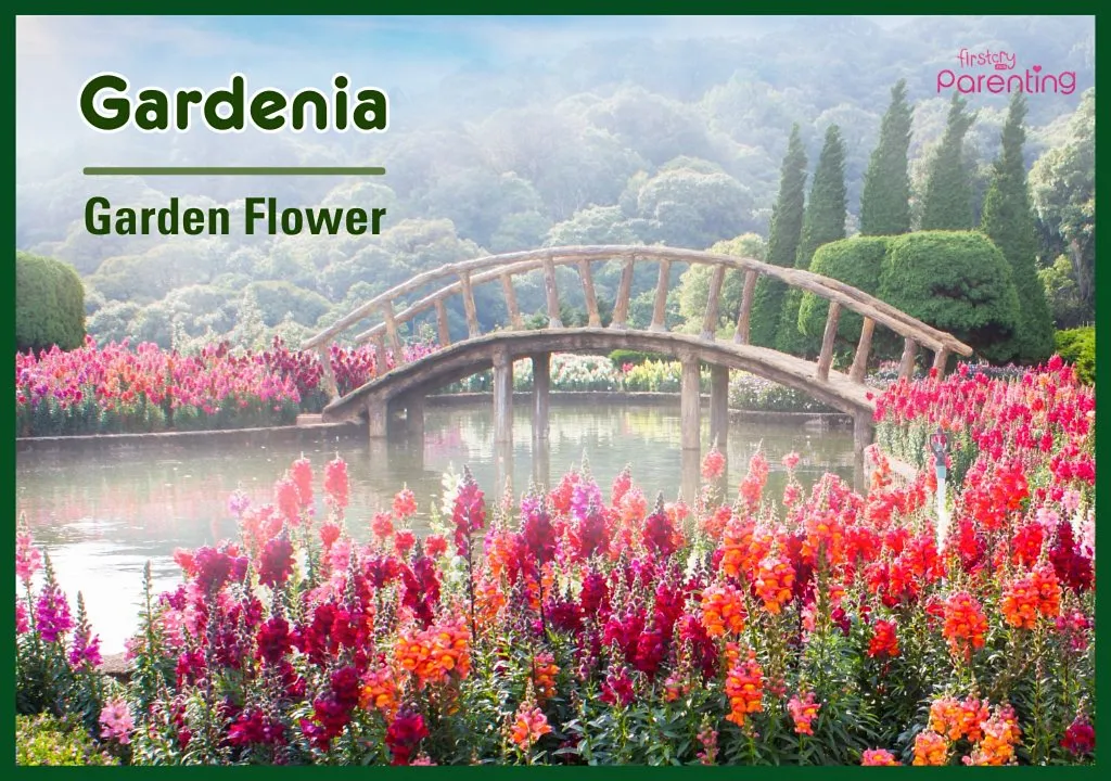 Gardenia - Brazilian Names For Girls and Their Meanings