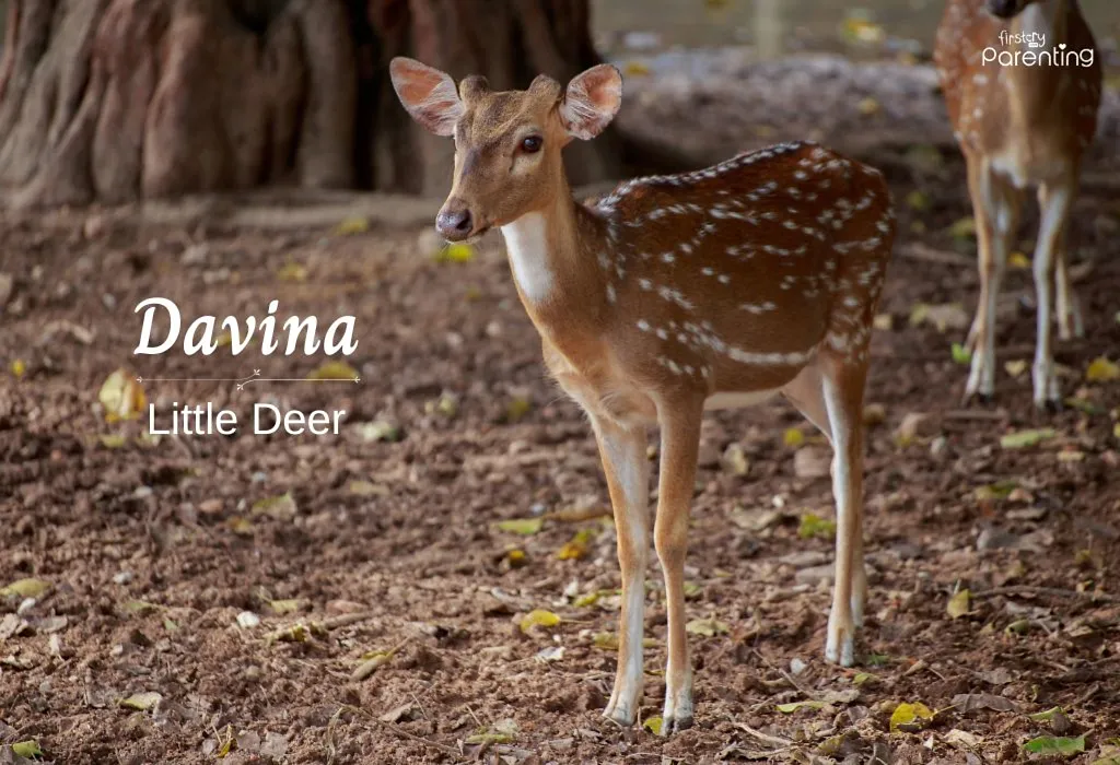 Davina - Beautiful and Nice Names for Your Baby Girl