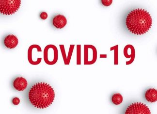 कोरोनावायरस हेल्पलाइन इंडिया: COVID-19 सेंट्रल और स्टेट की तरफ से जारी किया गया फोन नंबर कोरोनावायरस हेल्पलाइन इंडिया