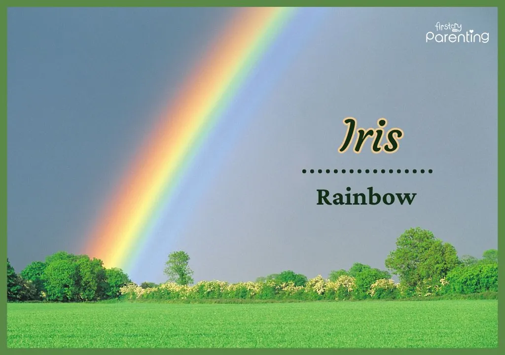 Iris - Names That Mean “Storm, Wind, Lightning, Air, Rain, Cloud Or Sky”