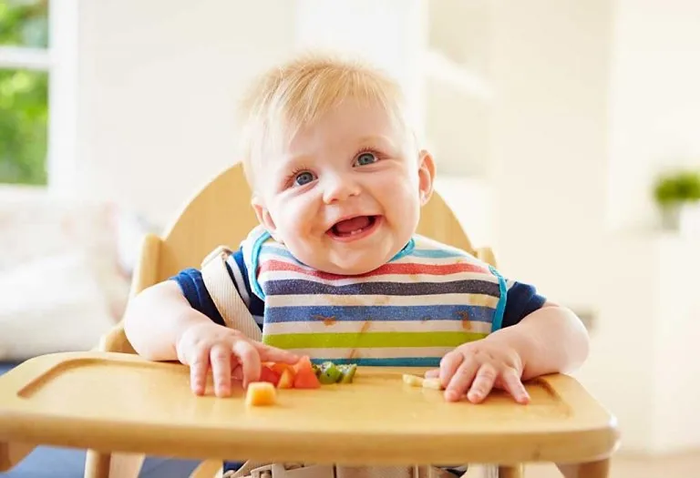 9 Month Old Baby Feeding Schedule, Recipes, and Tips