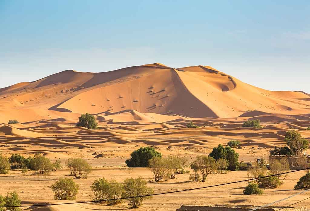 desert ecosystems for kids