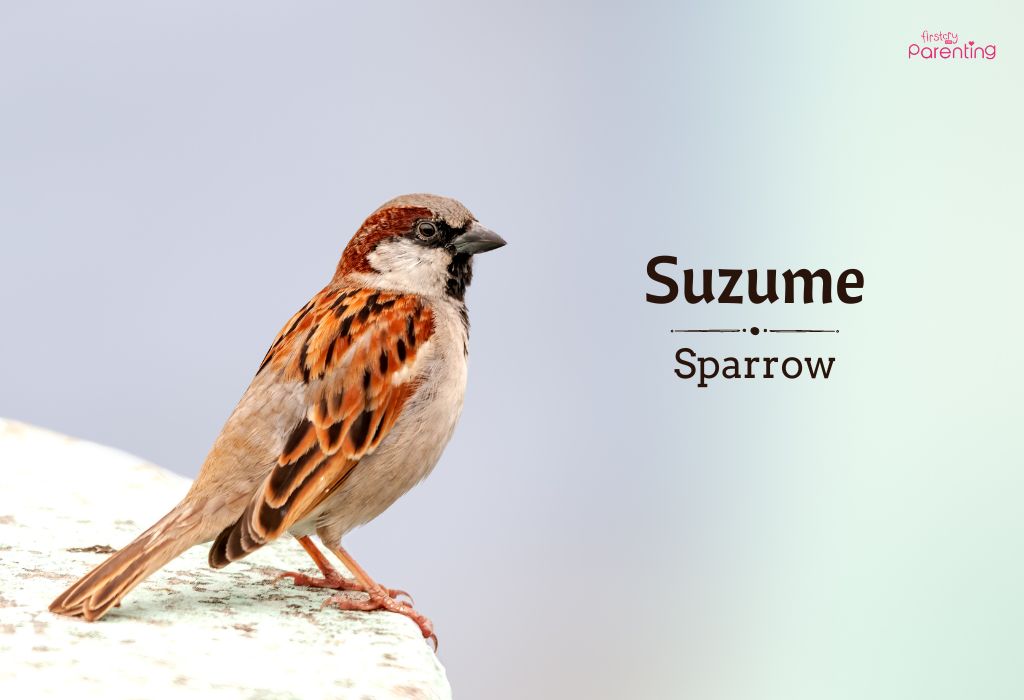 Suzume - Unique and Cute Japanese Girl Names