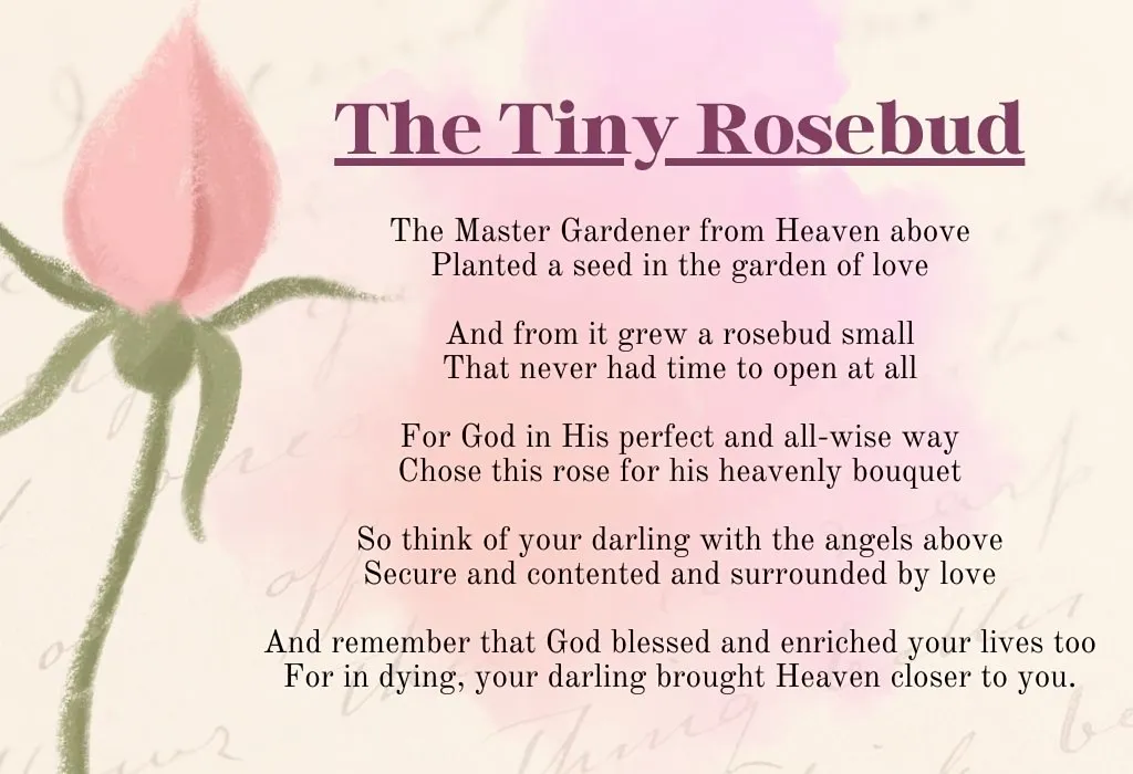 Miscarriage Poem - The Tiny Rosebud