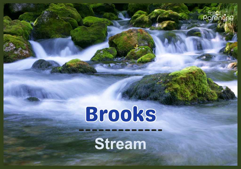 Brooks - One Syllable Boy Names