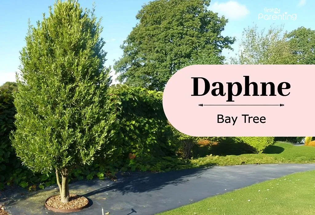 Daphne - Tree Names For Girls