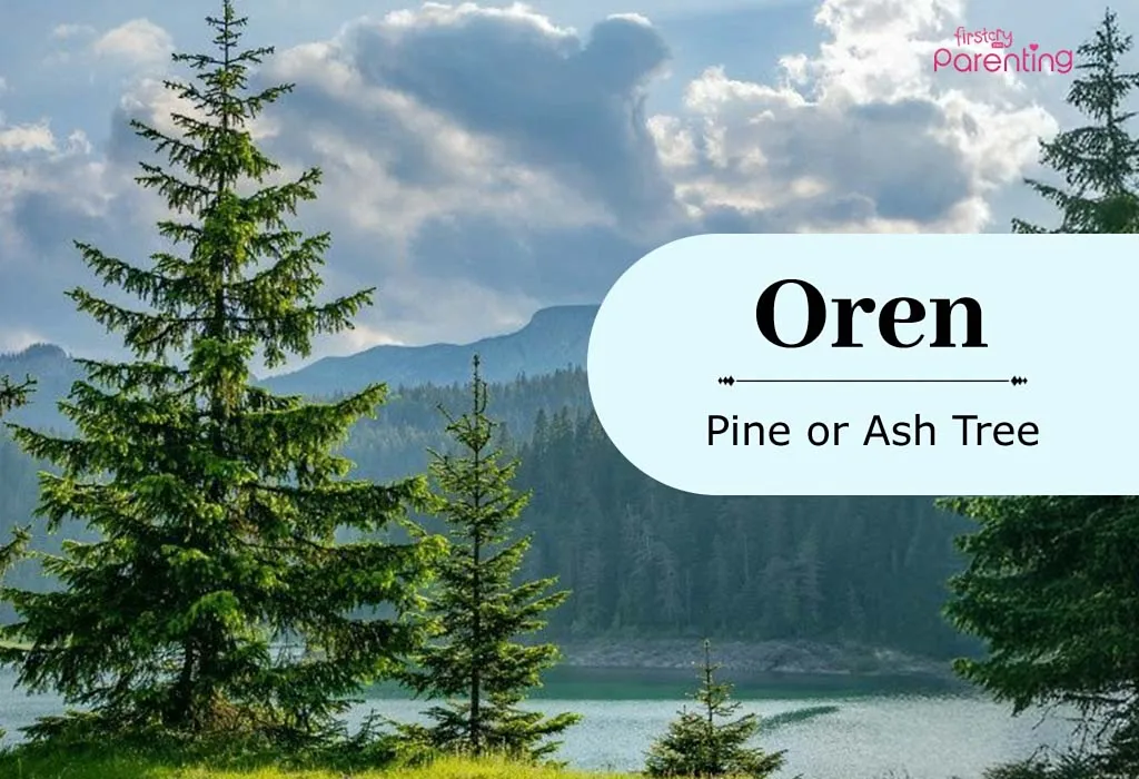 Oren - Tree Names For Boys