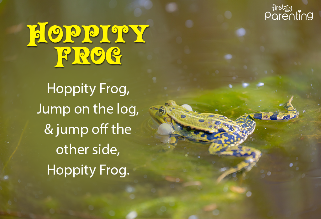 Hoppity Frog