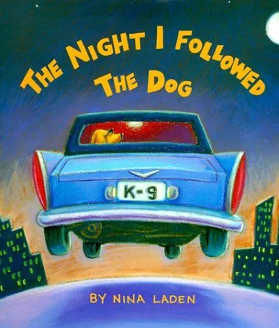 The-night-I-followed-the-dog.webp