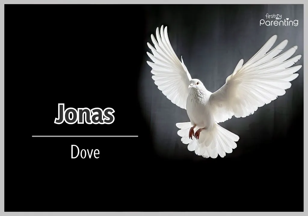Jonas - 5 Letter Names for Boys