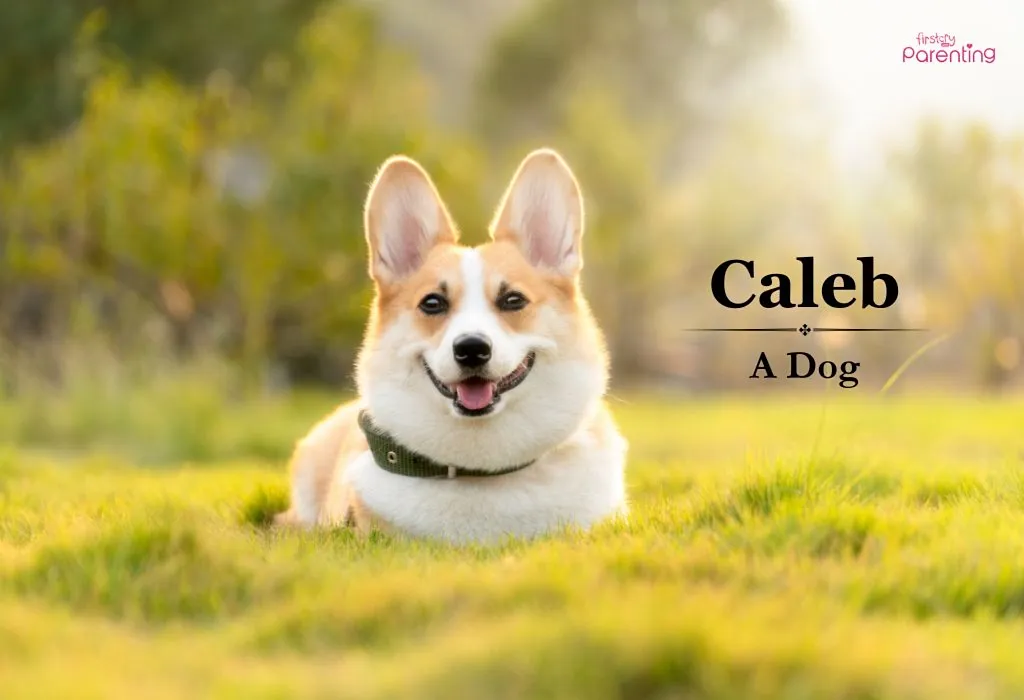Caleb - Names That Mean Hope and Faith for Boys and Girls