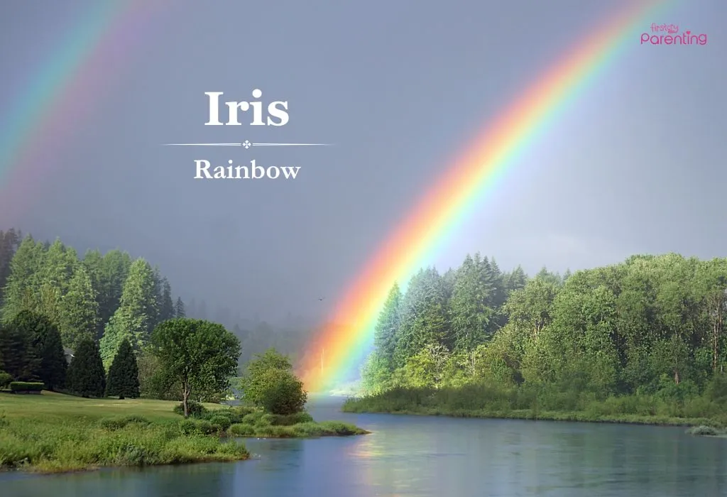 Iris - Names That Mean Hope and Faith for Boys and Girls