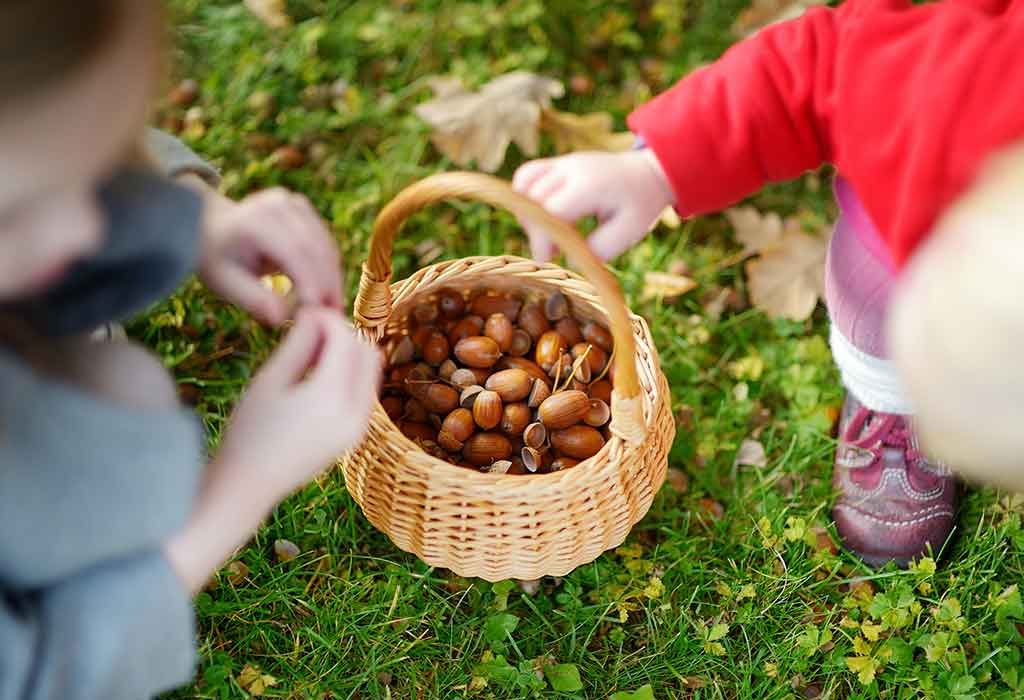 FIVE LITTLE ACORNS