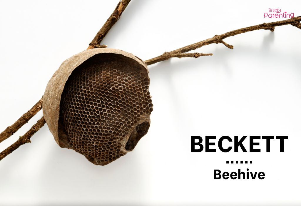 Beckett - Country Boy Names & Their Meanings