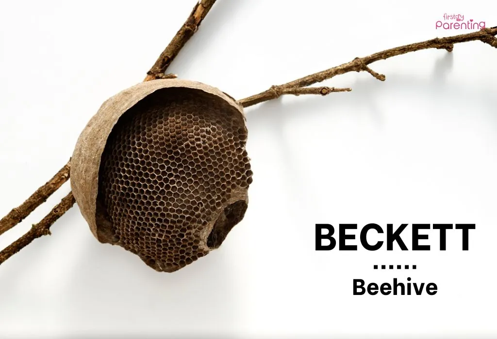 Beckett - Country Boy Names & Their Meanings