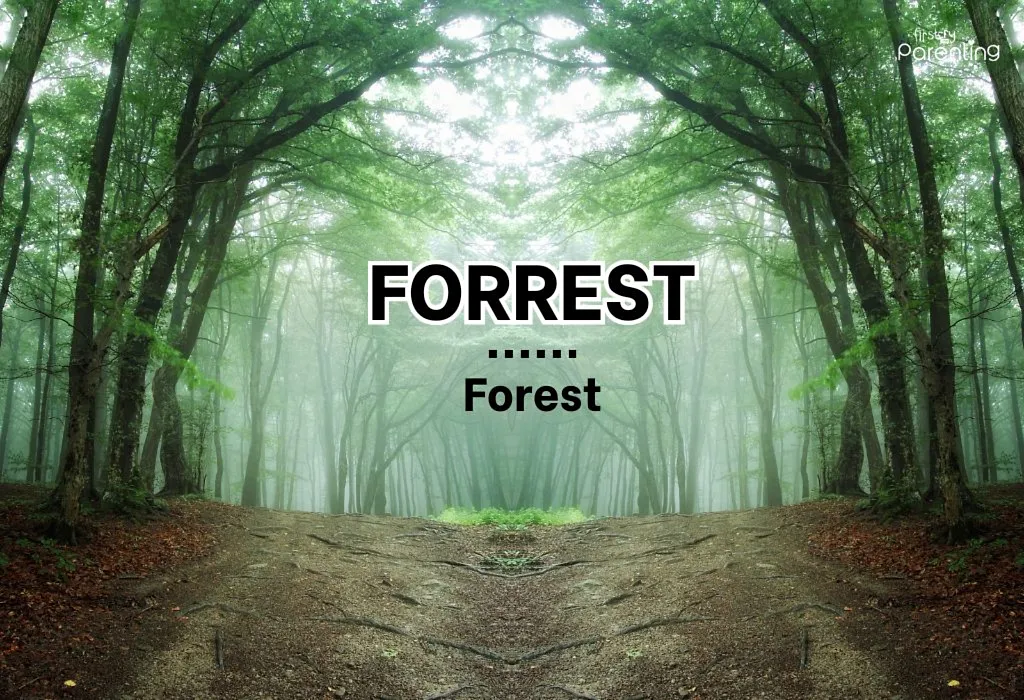 Forrest - Country Boy Names & Their Meanings