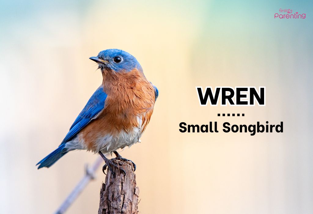 Wren - Country Boy Names & Their Meanings