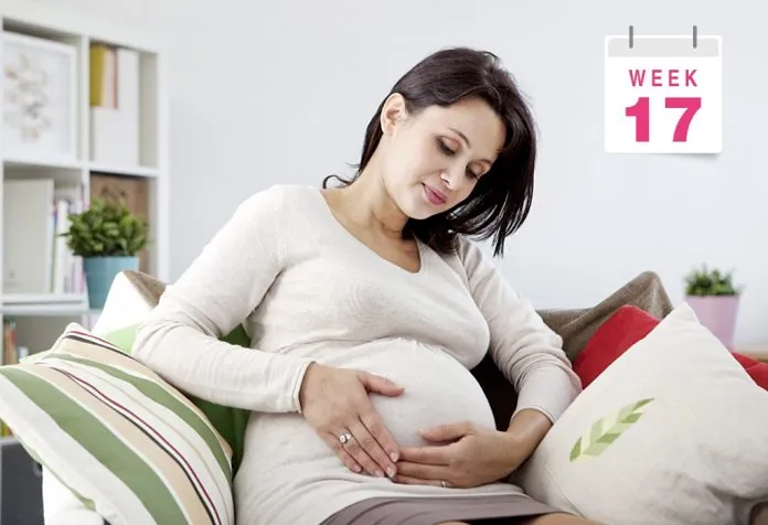17 Weeks Pregnant Belly Picture