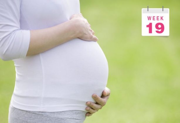 Pregnant Belly Vs Fat Belly Pictures Week By Week 20 Weeks Pregnant Belly Picture