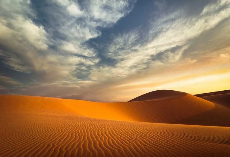 Fascinating Desert Facts For Kids