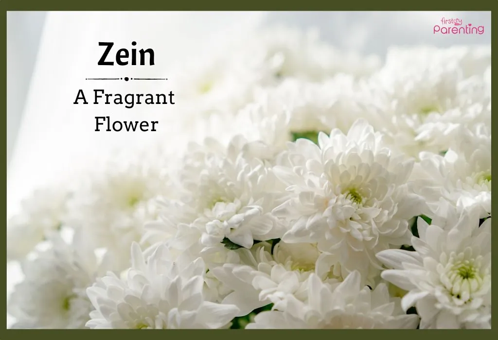 Top 80 Flower Names for Boys With Meanings