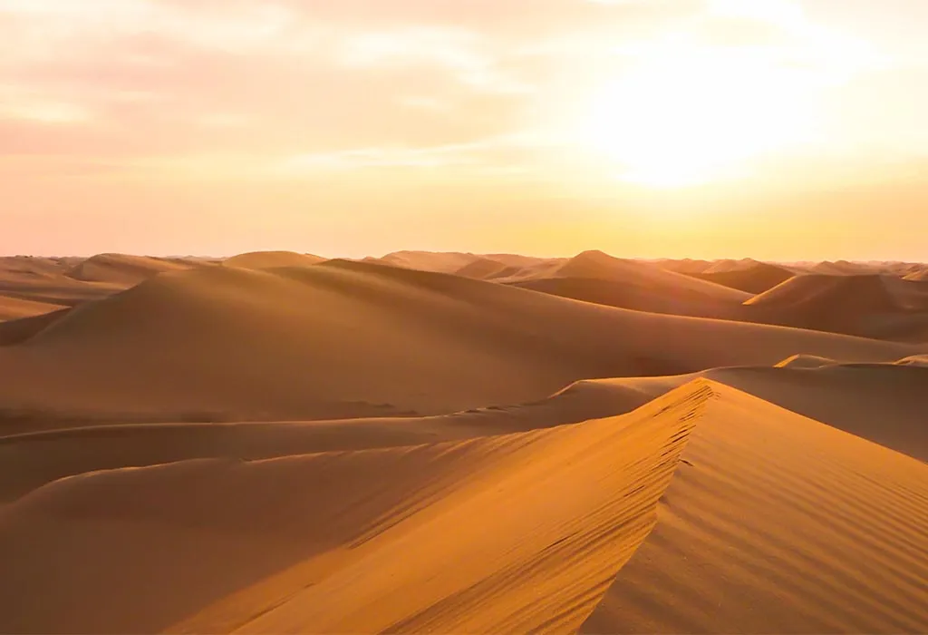 Arabian Desert