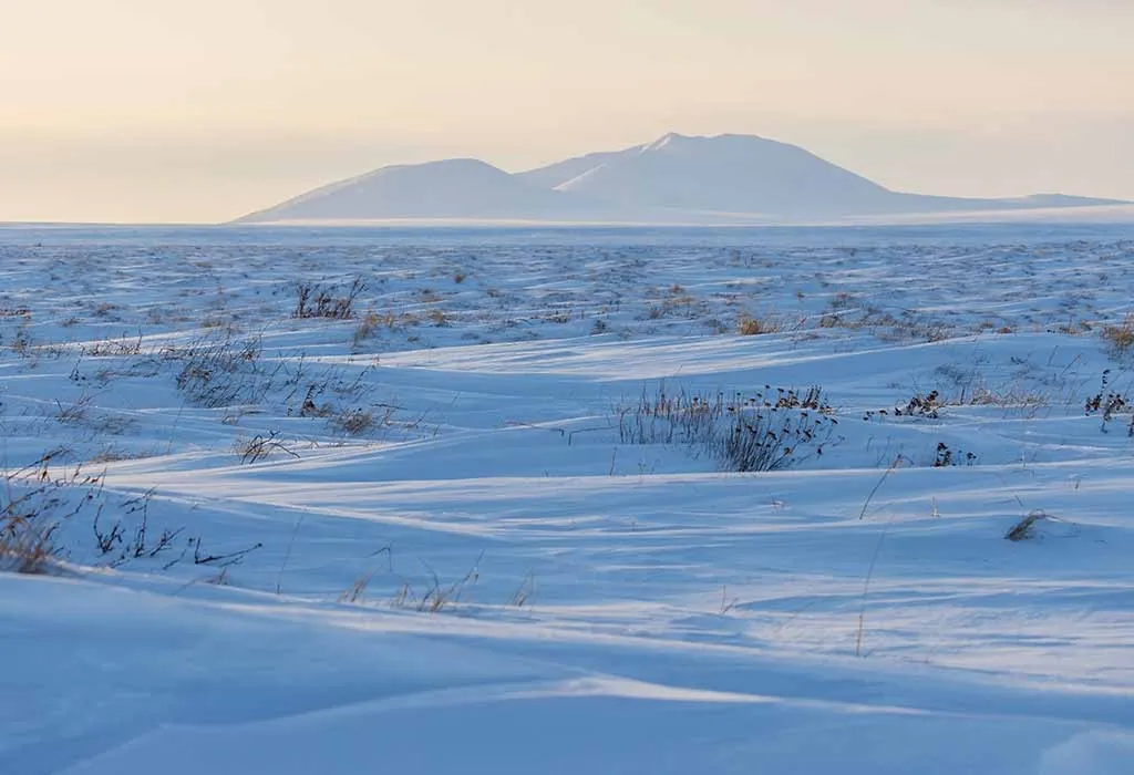 Arctic Desert