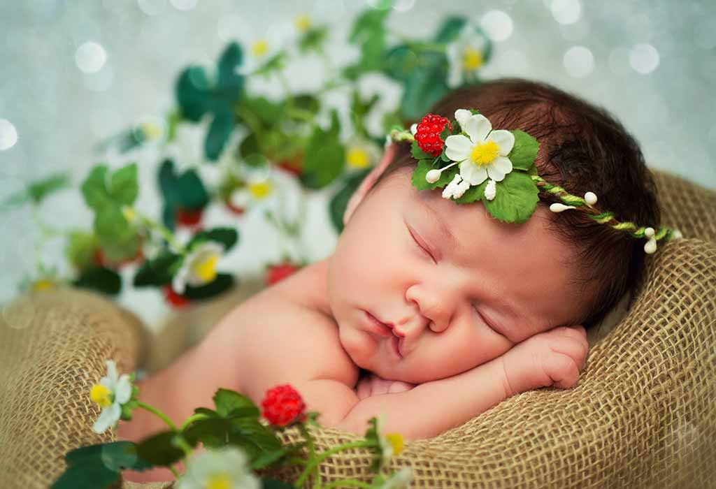 33+ Plant Baby Names PNG