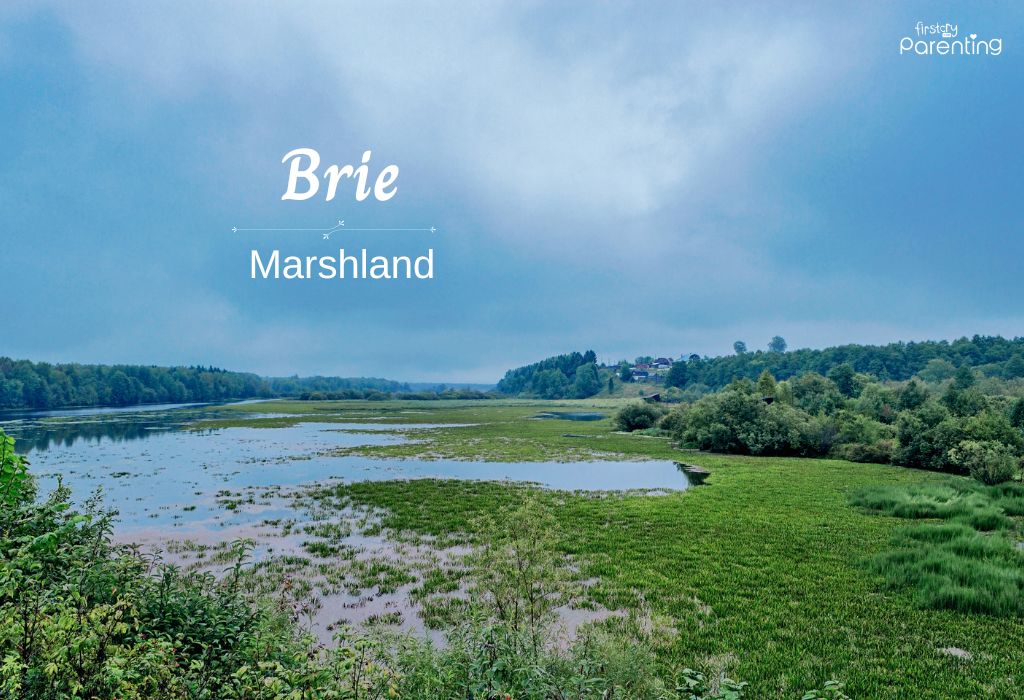 Brie - Girl Names Starting With Bri