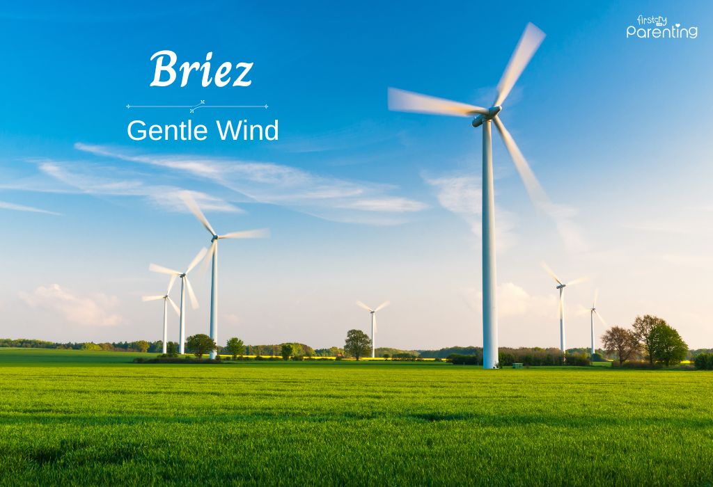 Briez - Girl Names Starting With Bri