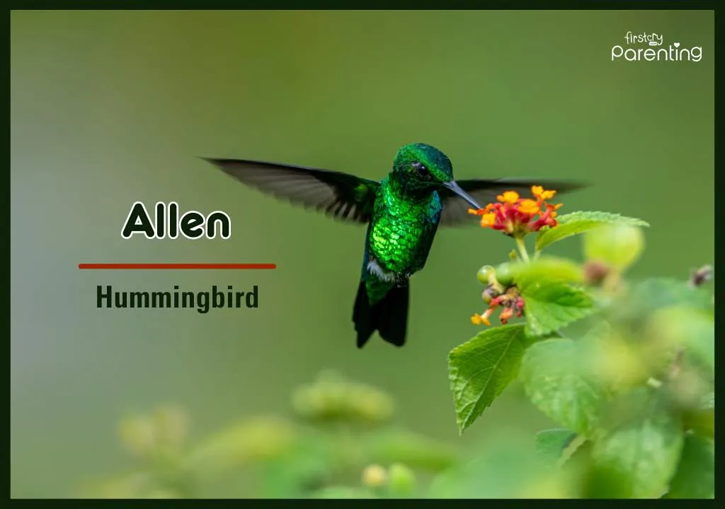 birds-pictures-with-names-for-kids